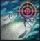 Check Fish Type Icone Check Fish Type